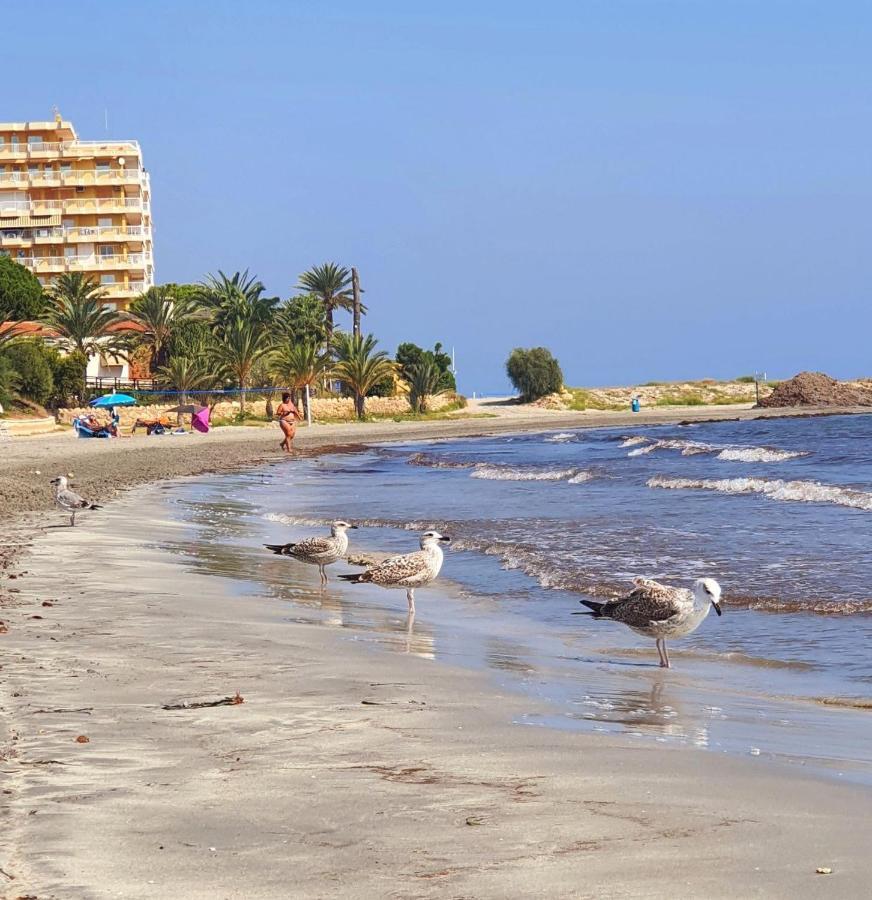 Sunflower Residence First Line By The Sea Santa Pola Buitenkant foto